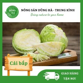 Cải Bắp - Dũng Hà Farm