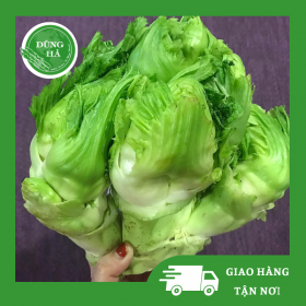Mầm Đá - Dũng Hà Farm