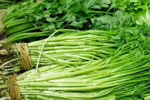 Những loại rau giá rẻ thường bị phun hóa chất trong rau