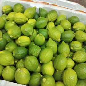 Chanh nước hoa Quảng Đông tại sao lại hot?